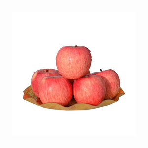 Pommes biologiques cultivées à la ferme, fruits frais et sains pour les marchés de gros, les exportateurs, les distributeurs et les acheteurs de produits agricoles - Product Image 5