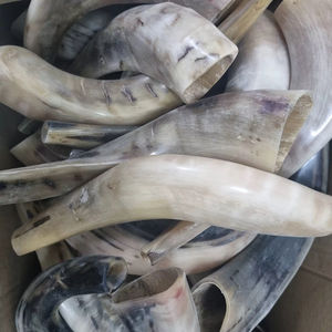 เขาแกะธรรมชาติขัดเงา ชอฟาร์ ของตกแต่งบ้านทางศาสนา เป็นมิตรกับสิ่งแวดล้อม คุณภาพสูง - Product Image 1