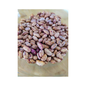 Highest Quality Sugar <b>Beans</b> Natural Dry Light <b>Beans</b> Good Price <b>Product</b> Bulk White Speckled Kidney <b>Bean</b> for Food - Product Image 5