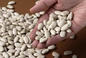 Haricots blancs biologiques de qualité supérieure | Haricots mouchetés légers | Haricots blancs séchés - Product Image 5