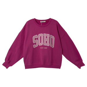 Premium Polyester/Cotton Blend Stylish Women's Winter <b>Long</b> <b>Sweatshirt</b> Screen Printed Jumper Hoodie Oversized Street Fashion - Product Image 1