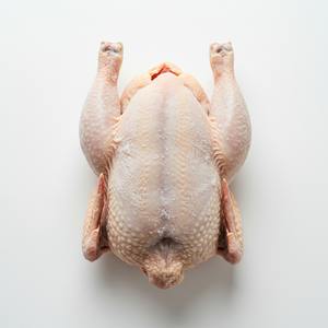 Top Pick Pollo Congelado a Granel Empaquetado para Mercados Internacionales Distribución Al por Mayor Servicio de Alimentos Al por Menor - Product Image 5