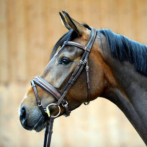 High Quality Adjustable Full Size Leather <b>Horse</b> Bridle with Fur and <b>Lead</b> <b>Rope</b> <b>Horse</b> Halter - Product Image 6