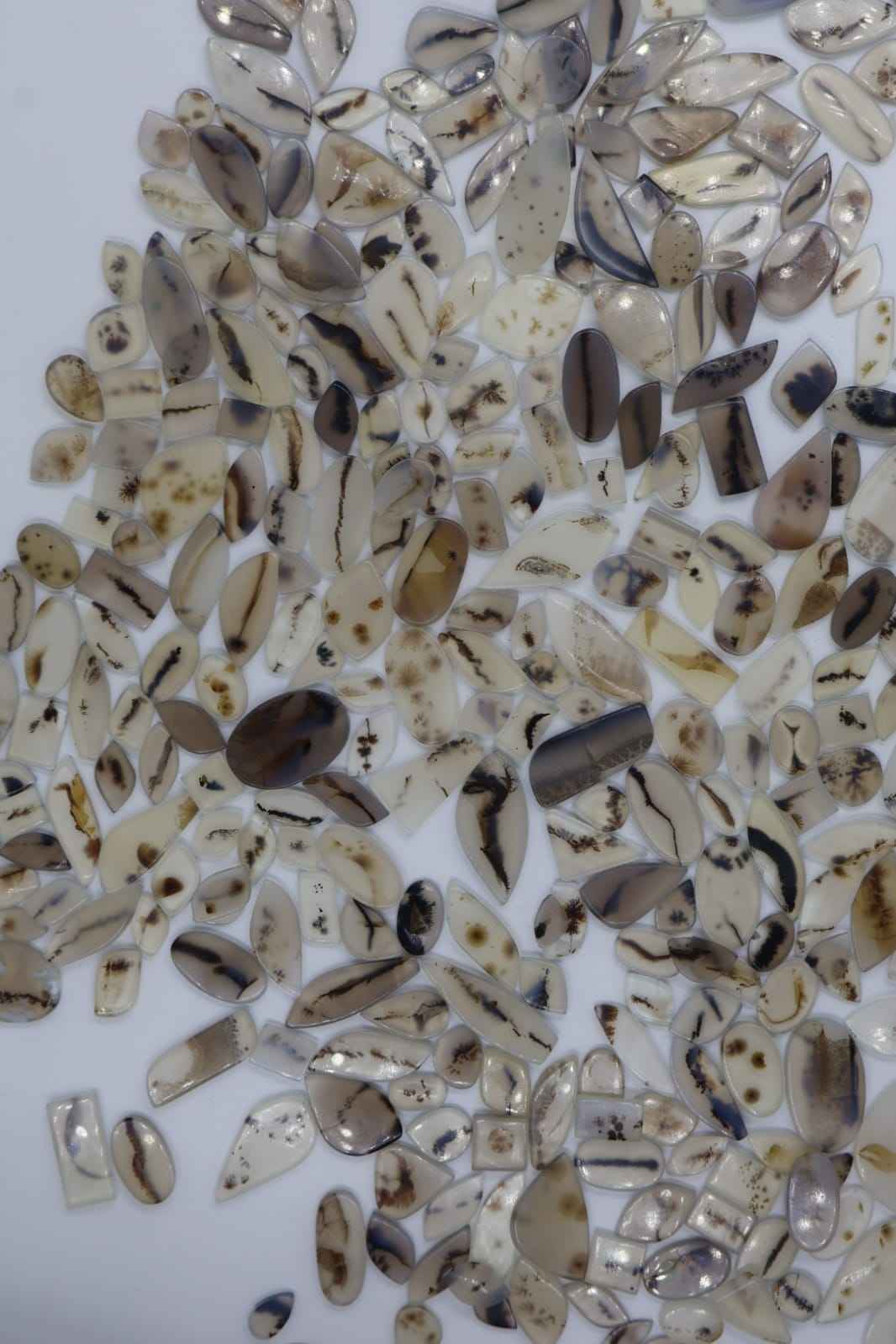 เห็นเป็นรูปภาพ