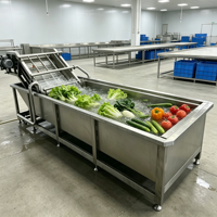 Commerciële groentewasmachine, industriële producten-bubbelreinigingsmachine