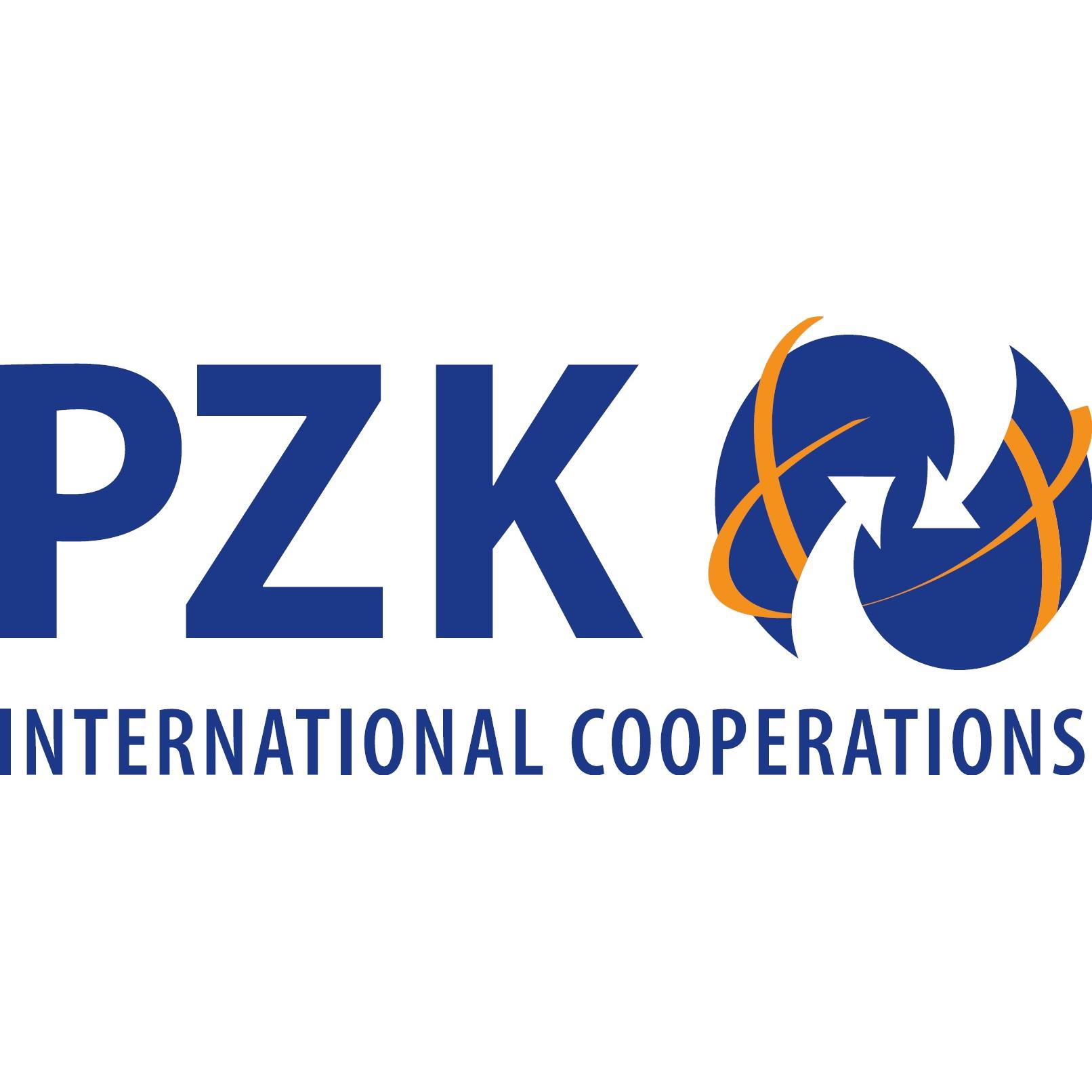 PZK BRNO a.s. logo