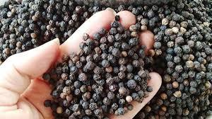 Pimienta Negra Vietnamita en Polvo Seca, Calidad Premium, Aroma Intenso, Certificación ISO 22000, 4% de Piperina para Especias de Cocina - Product Image 2