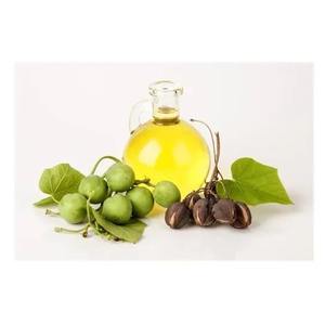 Pure Refined Jatropha Oil in Bulk Packaging for Renewable Energy Solutions and Industrial Use Trusted Supplier and Manufacturer - Product Image 2