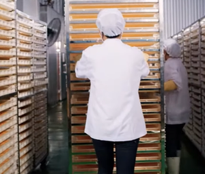 เวียดนามมะม่วงอบแห้งแบบนิ่มขนมผลไม้เมืองร้อนธรรมชาติคุณภาพระดับพรีเมียม - Product Image 2