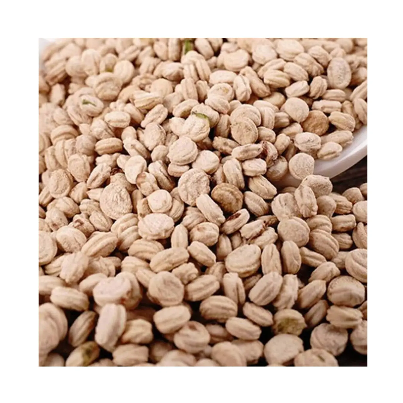 Fournisseur en gros de qualité supérieure de noix/graines de ginseng sec à vendre