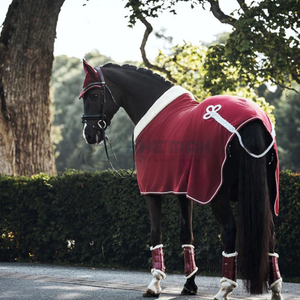 Couverture extérieure respirante de tapis de cheval imperméable de nouveau Style pour des chevaux avec des tapis/couvertures de cheval de couleurs personnalisées personnalisées - Product Image 3