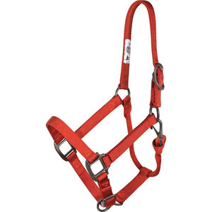 Cabestro de caballo ajustable de alta calidad, cuello de cabeza de carreras de cuero personalizado, Productos Ecuestres equinos - Product Image 3