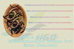 Extrait de fruit de Sophora japonica à approvisionnement direct d'usine HGO/extrait de fruit de Styphnolobium japonicum (qualité alimentaire) Kaempférol 50% - 98% - Product Image 3