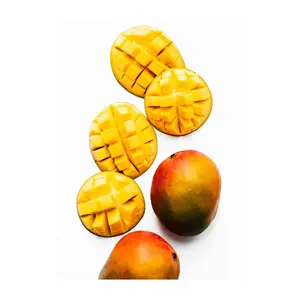 Cheap Price Fresh Mango Fruit King stone mango High Quality Alphonso mango export cheap price for sale