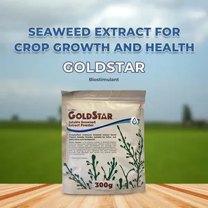 Acadian Goldstar Biostimulant Food Grade Ascophyllum Nodosum <b>Seaweed</b> Extract Powder Enhances Abiotic Stress Plants Fucoxanthin - Product Image 2