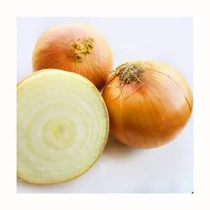 high quality hot sale fresh yellow onion in bulk
