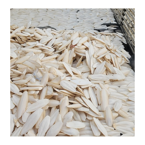 Os de seiche coupés et séchés avec fonction propre et sèche pour l'alimentation des animaux, fournissant des os de seiche séchés au Vietnam - Product Image 5