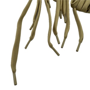 TC027 Flat Hollow Draw Cord Heat Wrap Drawcords Shoelace Aglet Flat Poly Lace-up Shoes for <b>Bags</b> and Garments - Product Image 2