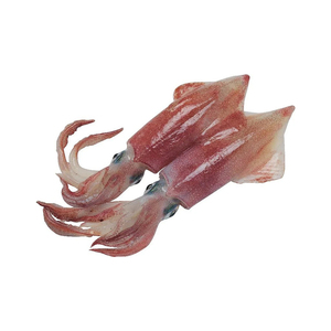 Calamars japonais à prix avantageux, disponibles pour les commandes en gros régulières - Product Image 5