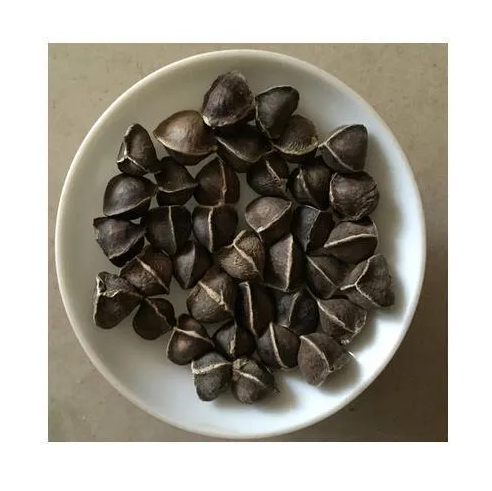 Organic Moringa Seeds - Dried and Ready for Export