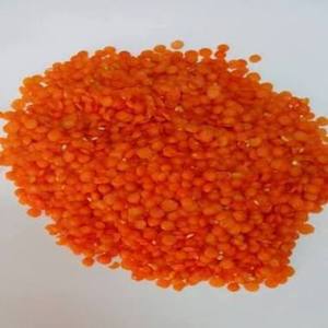 Lentilles Rouges Fendues les Plus Vendues, Texture Lisse, Cuisson Facile, Produit Naturel, Fournisseur Pak - Product Image 1