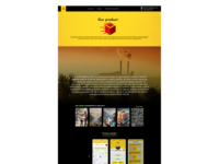 Concepteur de sites web professionnels |   Conception et développement web, expérience UI/UX, dropshipping, stock disponible, design responsive, Laravel