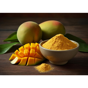 Poudre de jus de mangue séchée par pulvérisation, la plus populaire, toute nouvelle, 100 % naturelle, sans additifs, fabriquée en Inde, prix de gros - Product Image 3