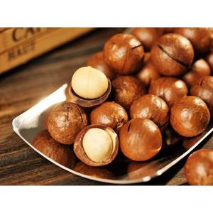 Nueces de Macadamia Orgánicas Nativas al por Mayor, las Más Vendidas, en Cáscara a Granel - Product Image 6