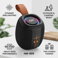 Lecteur audio sans fil mini portable avec lumière LED RVB, caisson de basses puissant, son acoustique clair TWS, pour extérieur, jardin, camping, enceinte sonore