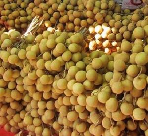 ผลไม้ลำไยสดออร์แกนิกผลไม้ลำไยอบแห้ง - Product Image 5