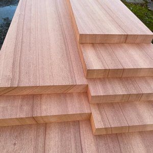 Bois de sapele Offre Spéciale pour l'atelier de sauna de construction pour des hôtels - Product Image 3