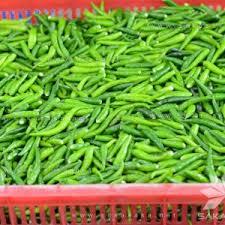พริกแช่แข็งพรีเมียม IQF - พริกเวียดนามธรรมชาติ 100% - ส่วนผสมเครื่องเทศแช่แข็งพร้อมใช้ - Product Image 5
