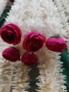 Auténtico Fondo de Flores de Jazmín con Peonías, Flor de Nikha, Mangalasnanam del Sur de la India, Fondo de Langavoni, Decoración de Estilo Americano - Product Image 4