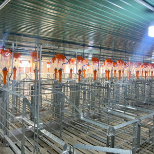 Parto de cerdos embarazadas Mejor venta Diseño de 2 puertas galvanizado en caliente incluye tolva de alimentación y cartón Hecho en Vietnam - Product Image 6