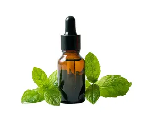 Supplier bulk wholesale price pure natural spearmint extract essential oil 99% spearmint oil