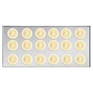 Adjustable Timer Freeze Dryer <b>Machine</b> Carbon Steel Electric Heating White Model D0100XU48CV 8.8-13.2 LBS/Batch Fruit Vegetable - Product Image 3