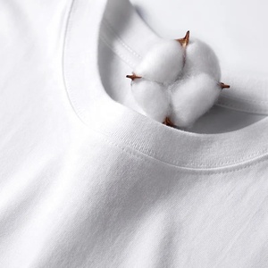 T-shirt homme surdimensionné 100% coton biologique de haute qualité lourd 300 gsm petit décolleté streetwear logo personnalisé t-shirt t-shirt - Product Image 1