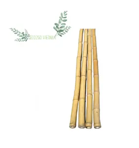 100% Real Bamboo In Vietnam Bamboo Stake Cane Suppliers/ Bamboo Cane Poles High Quality And Good Price From Eco2go Vietnam