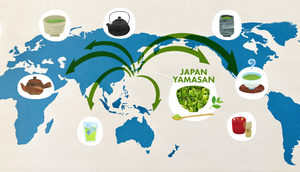 ชาเขียวเซนฉะพรีเมียมและออร์แกนิก - Product Image 6