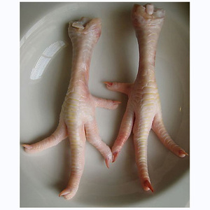 GACC Approved Premium Grade USA Frozen Chicken Paws <b>Organic</b> with Vitamins Bulk Packaging - Product Image 4