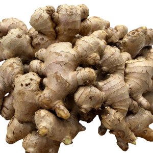 Raíz de jengibre fresca de alta calidad |   Exportación a granel de la granja al mercado - Product Image 1