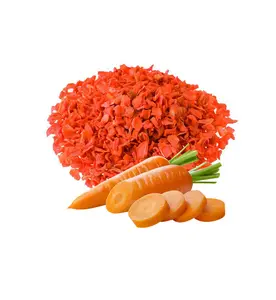 优质越南胡萝卜和脱水健康干胡萝卜蔬菜类型，价格便宜