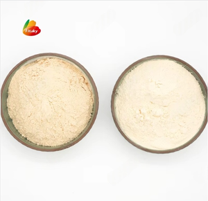 Poudre concentrée pour sauce à l'<span class=keywords><strong>ail</strong></span> Fournisseur de poudre d'<span class=keywords><strong>ail</strong></span> Poudre d'<span class=keywords><strong>ail</strong></span> en Chine - Product Image 1