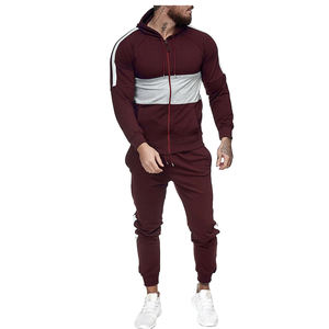Deux pièces survêtement à capuche pour hommes 100% coton Sport Jogging ensemble veste confortable pantalons de survêtement équipe survêtement pour la saison d'automne - Product Image 5
