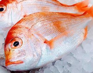 Pescado de dorada roja congelada de primera calidad disponible para suministro a granel con sabor suave - Product Image 3