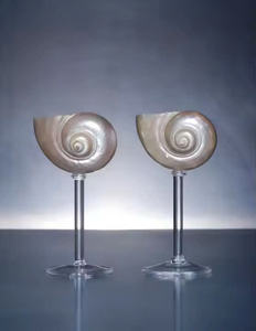 Haz un brindis con una impresionante copa de martini de concha de mar La copa de vino definitiva para amantes del océano - Product Image 4