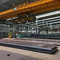 Bobine de plaque d'acier au carbone laminée par chrome de barre d'acier de tige d'acier au carbone modelée de haut niveau