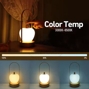 Top Produit Lampe à Sel en Forme de Pomme Vente à Chaud Lampe à Sel en Forme de Pomme pour Vente en Ligne Fabriqué au Pakistan - Product Image 2