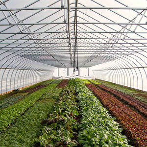 <span class=keywords><strong>Serra</strong></span> a Tunnel Singolo a Basso Costo per Fattorie, Irrigazione Idroponica/Aquaponica in PE per Pomodori, Lattuga, Cetrioli, Frutta e Fiori - Product Image 4