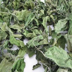 Feuilles de lolot séchées de qualité supérieure, grande quantité, exportation - Product Image 3